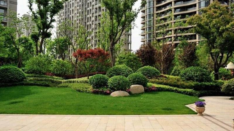 悟空体育平台介绍配图：球迷在体育场观看比赛